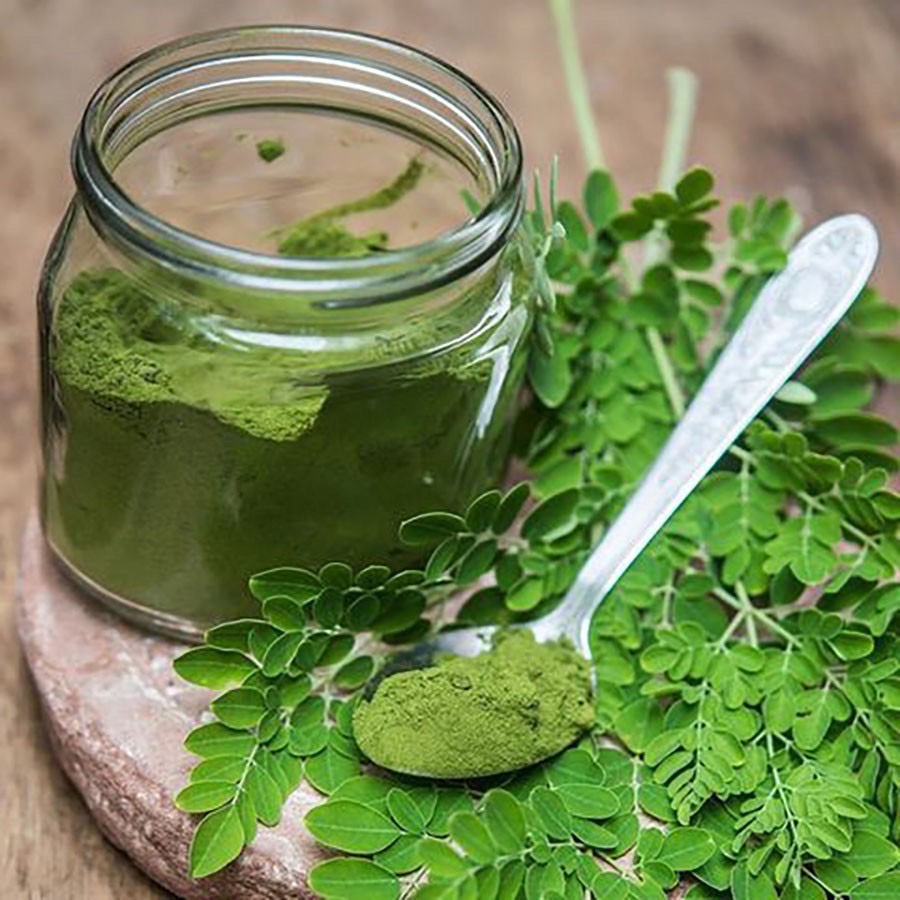 Bột chùm ngây sấy lạnh Dalahouse cho bé ăn dặm