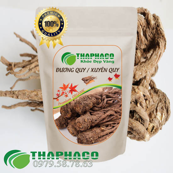 [1kg] Đương Quy Sấy Khô - Hàng Công Ty Thaphaco - Sản Phẩm Thiên Nhiên Giúp Bồi Bổ Và Tăng Cường Sức Khỏe