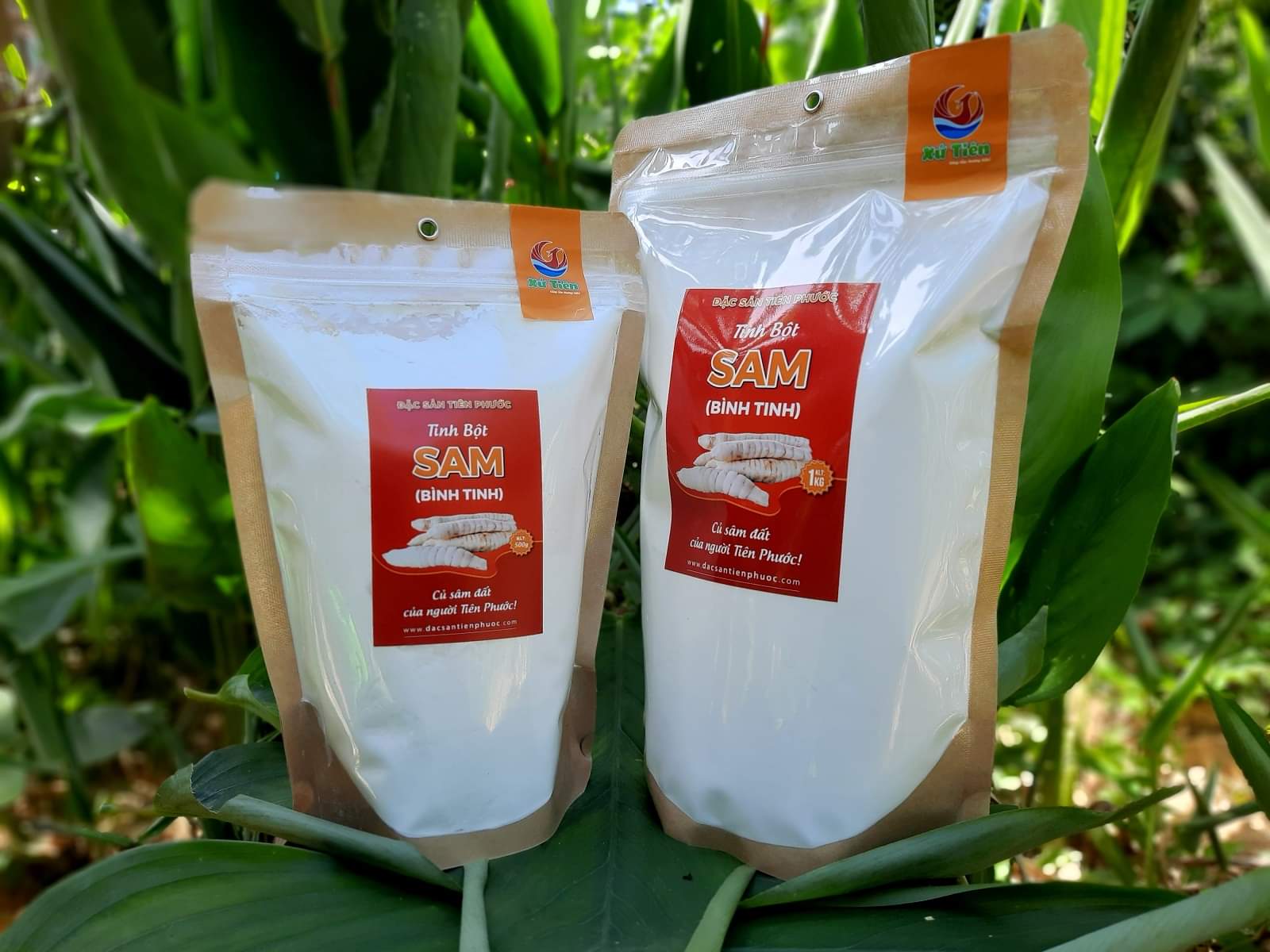 tinh bột Sam, tinh bột bình Tinh nguyên chất, đặc sản Xứ Tiên
