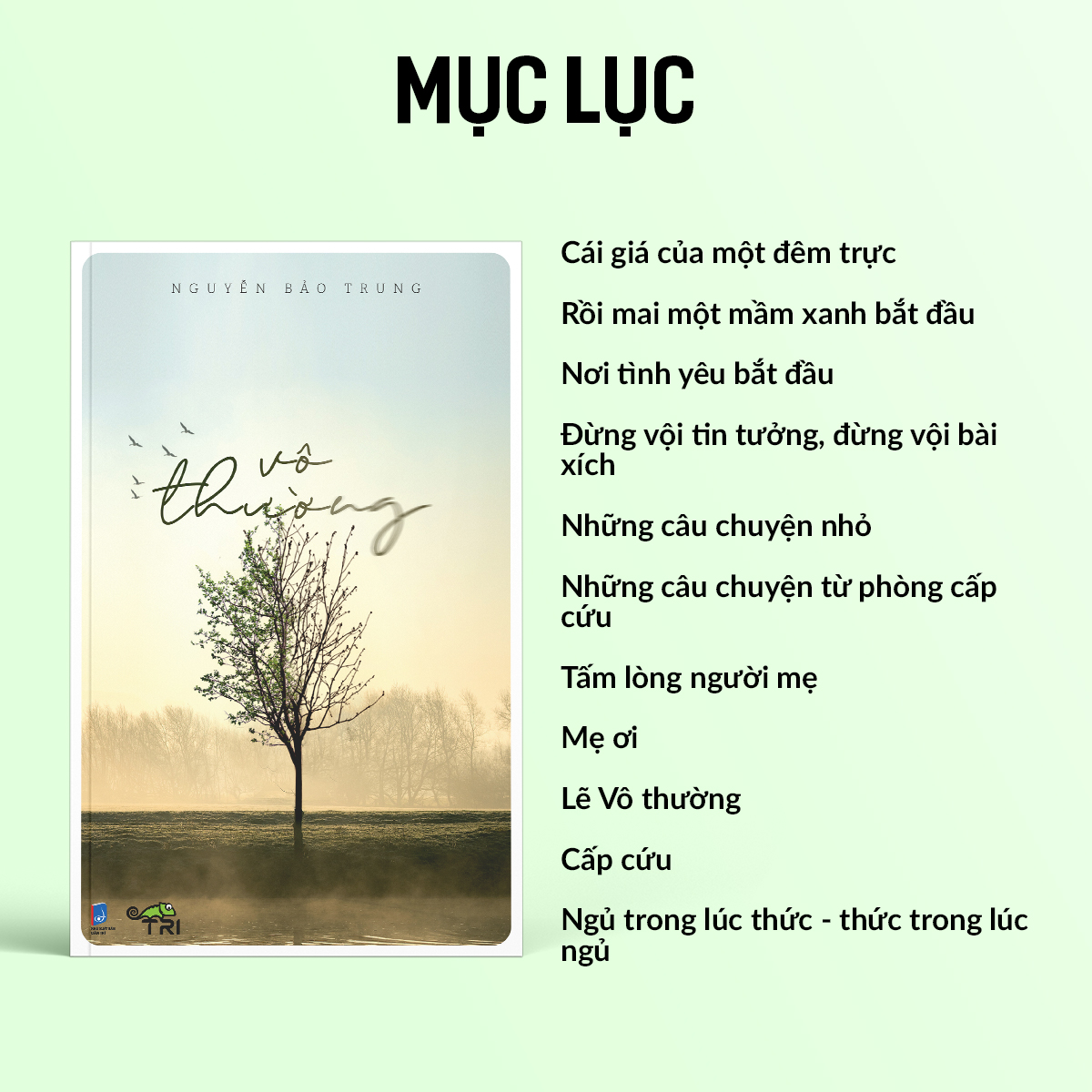 Sách - Vô Thường (Nguyễn Bảo Trung) - Tuệ Tri