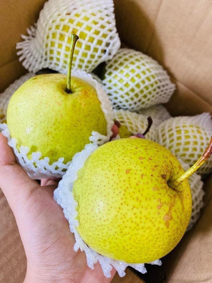 VG FARM Lê Đá giòn, ngọt, chắc trái