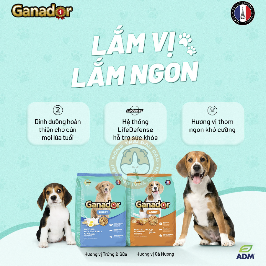 Thức Ăn Hạt Ganador Cho Chó 400g