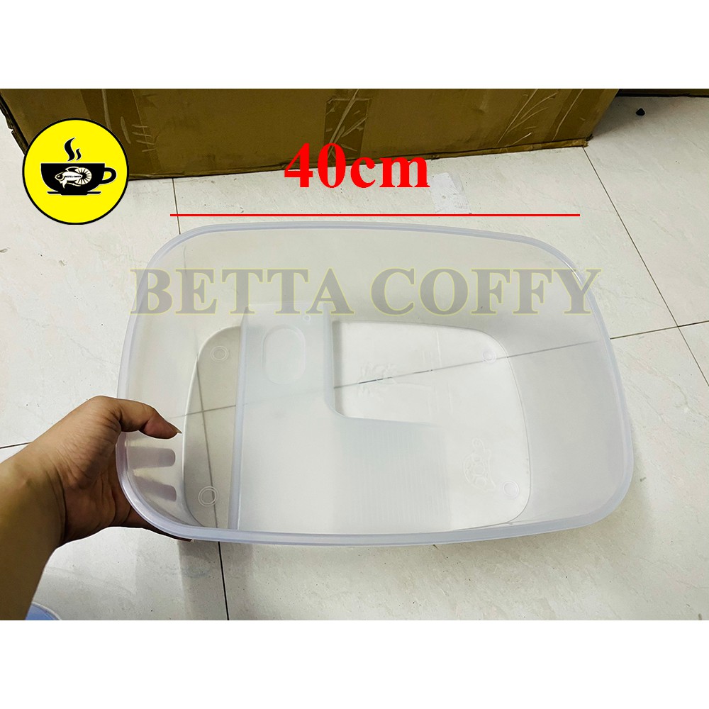 Bể Nuôi Rùa - Nuôi cá ếch thằn lằn chuột đều được - Size Lớn & Cực Lớn - Màu ngẫu nhiên