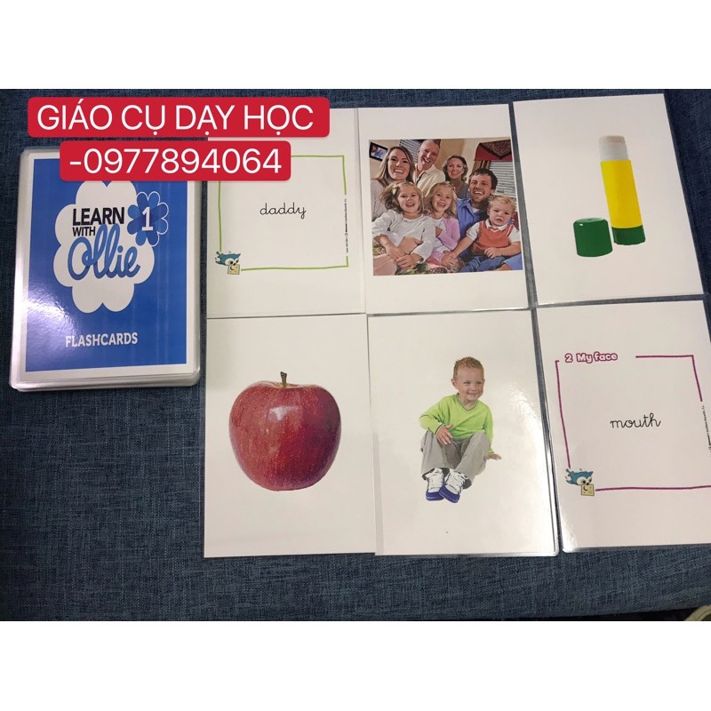 Combo trọn bộ Flashcards Learn with Ollie level 1-2-3 ( Kích thước A5, thiết kế 2 mặt, ép plastics siêu đẹp)