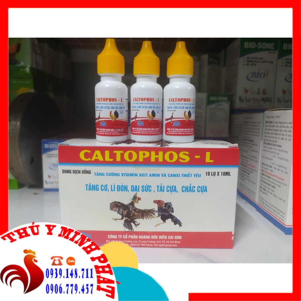 Caltophos - l tăng cơ, dai sức, tải cựa, chắc cựa