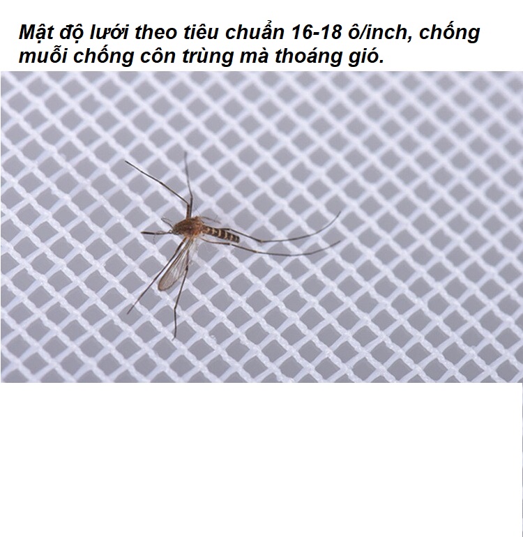 [HCM]Lưới chống muỗi và côn trùng sợi thủy tinh