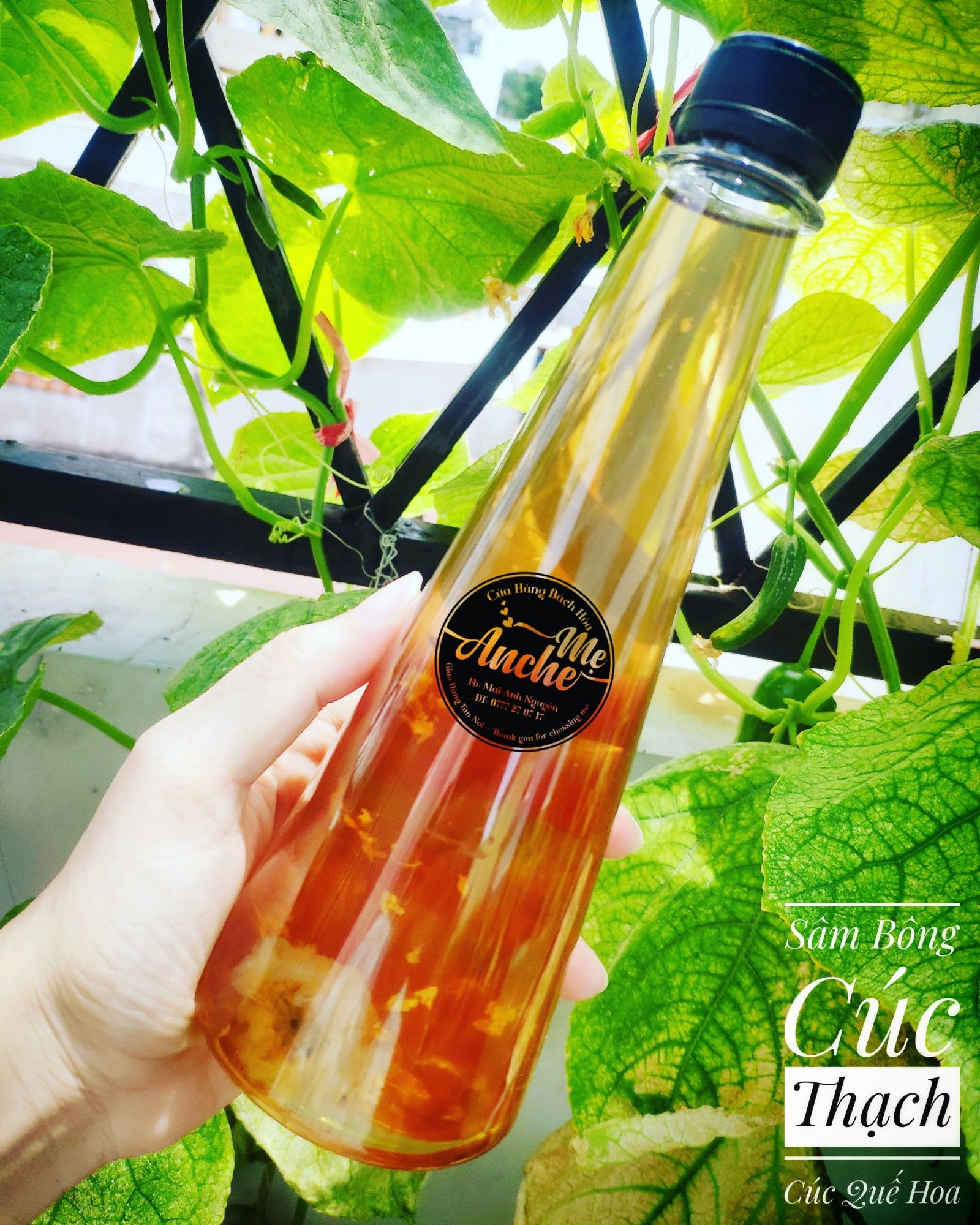 SÂM BÔNG CÚC NHỎ NẤU 3L NƯỚC