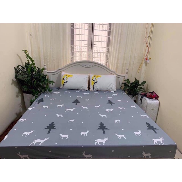 Ga Chống Thấm Coton Hàng Xịn