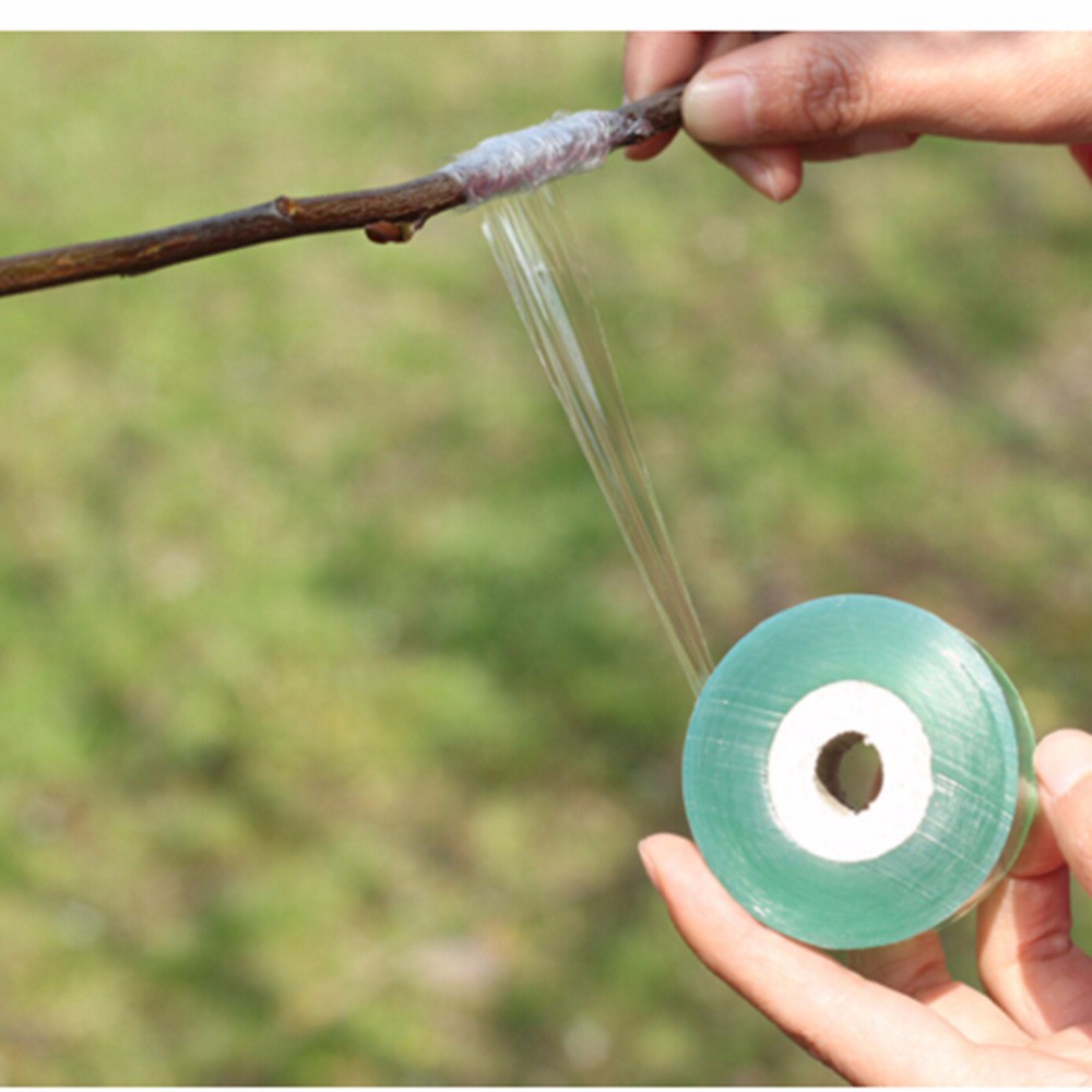 Cuộn băng keo ghép cành, chiết cành (xanh)