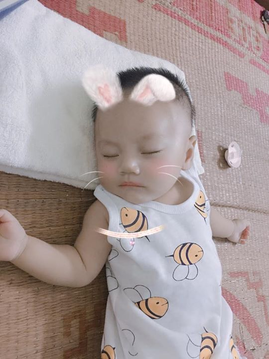 Set 5 bộ ô tô chip cotton 2 chiều cho bé 3-15kg