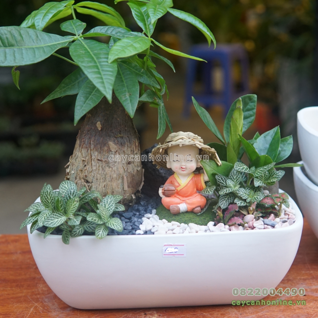 Chậu gốm sứ hình chữ nhật trồng cây cảnh phong thủy tiểu cảnh