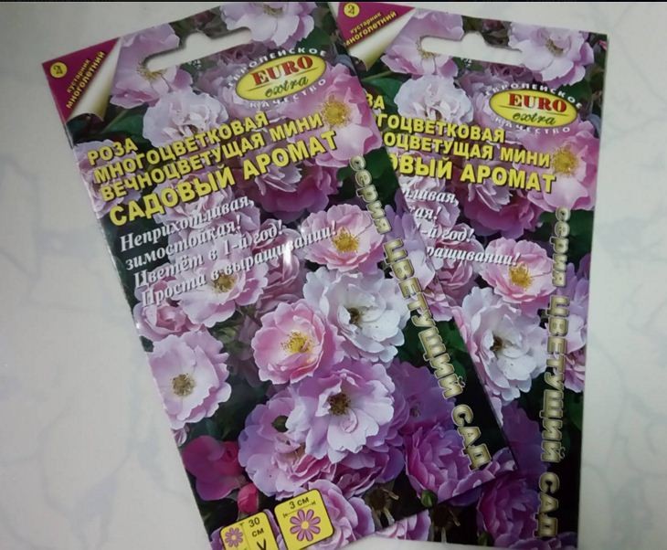 Mini Fragrant Rose Seeds (Spring Rose, 20 Seeds/Seed Germination Stimulation Package Included)