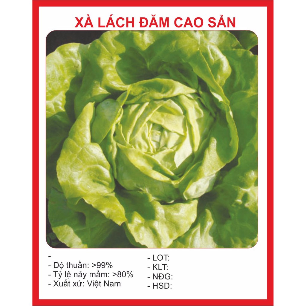 Hạt Giống Xà Lách Đăm Cao Sản 2gr ~ 2000Hạt