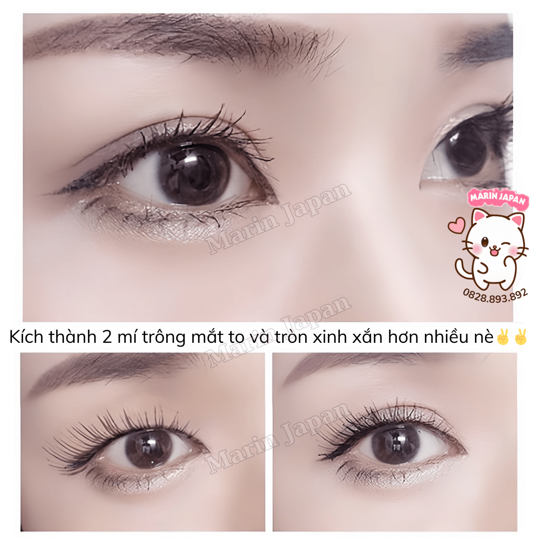 Gel Keo Dán Kích Mí Mắt Nội Địa Nhật Bản