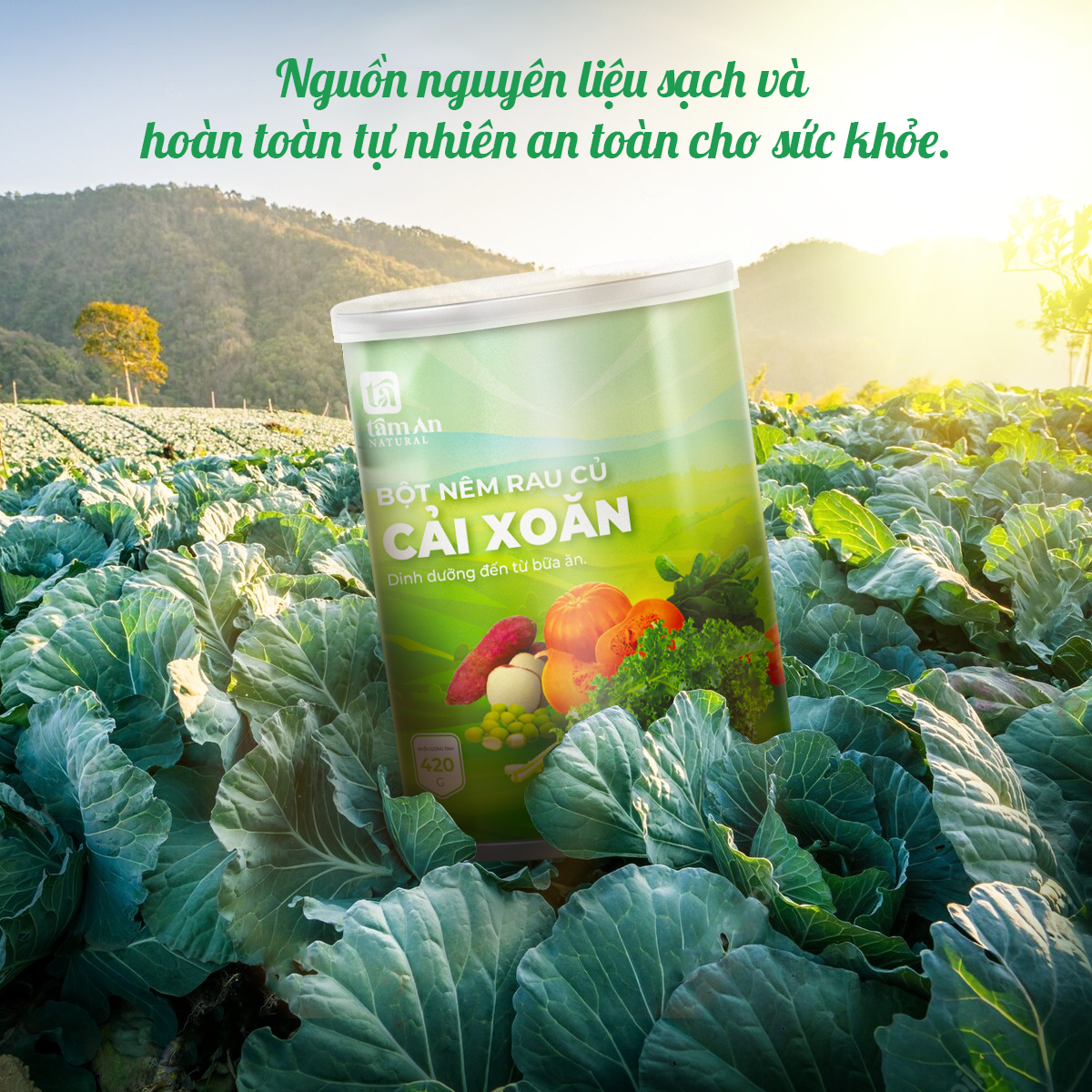 Bột Nêm Rau Củ Cải Xoăn - 420g