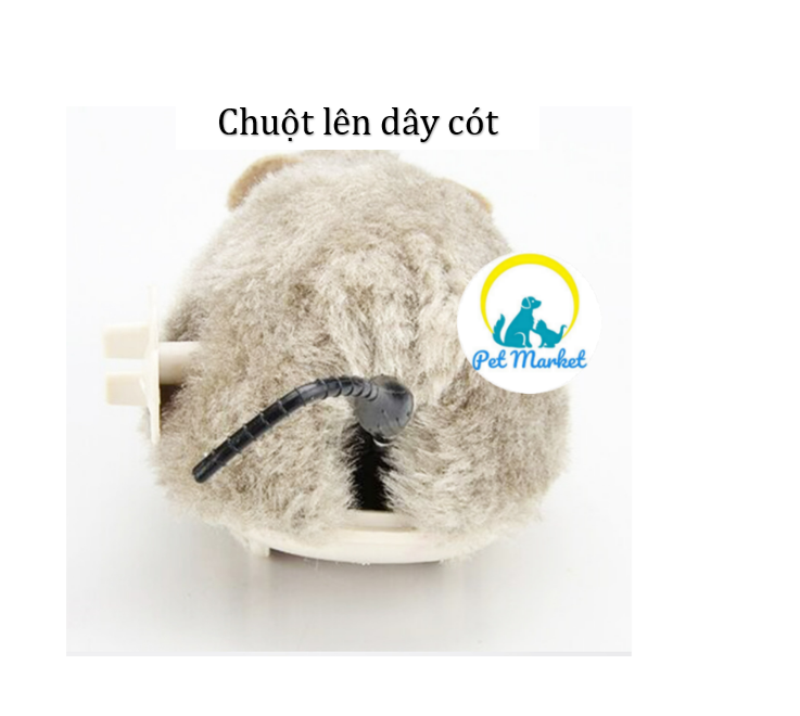 CHUỘT LÊN DÂY CÓT CHO CHÓ MÈO, THÚ CƯNG