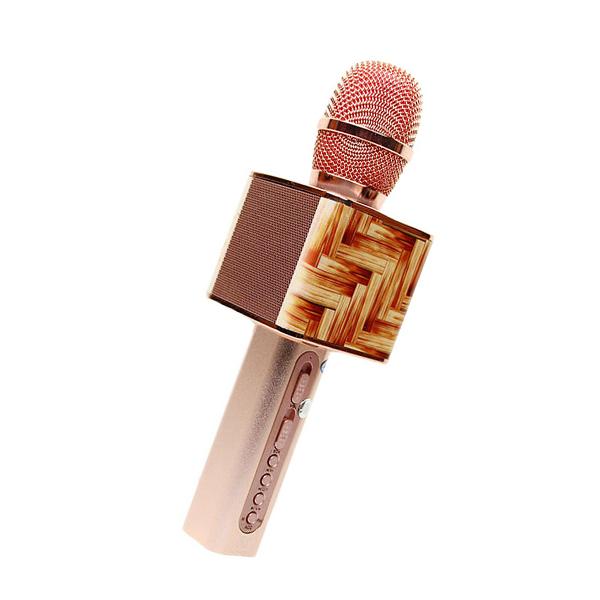 [HCM]Micro Karaoke Ys-11F