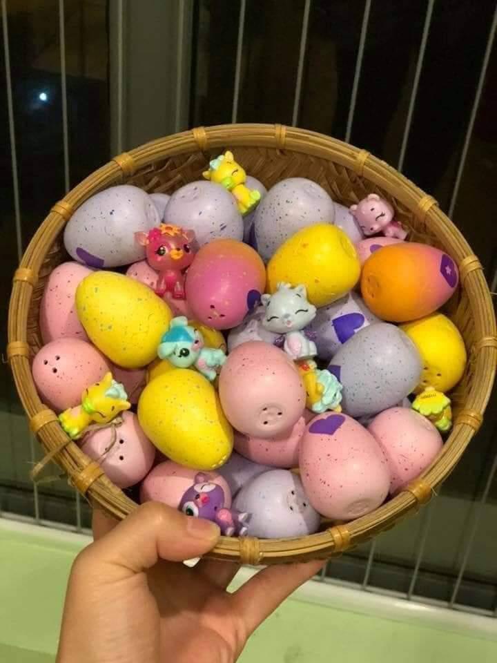 SET 5 QUẢ TRỨNG HATCHIMALS