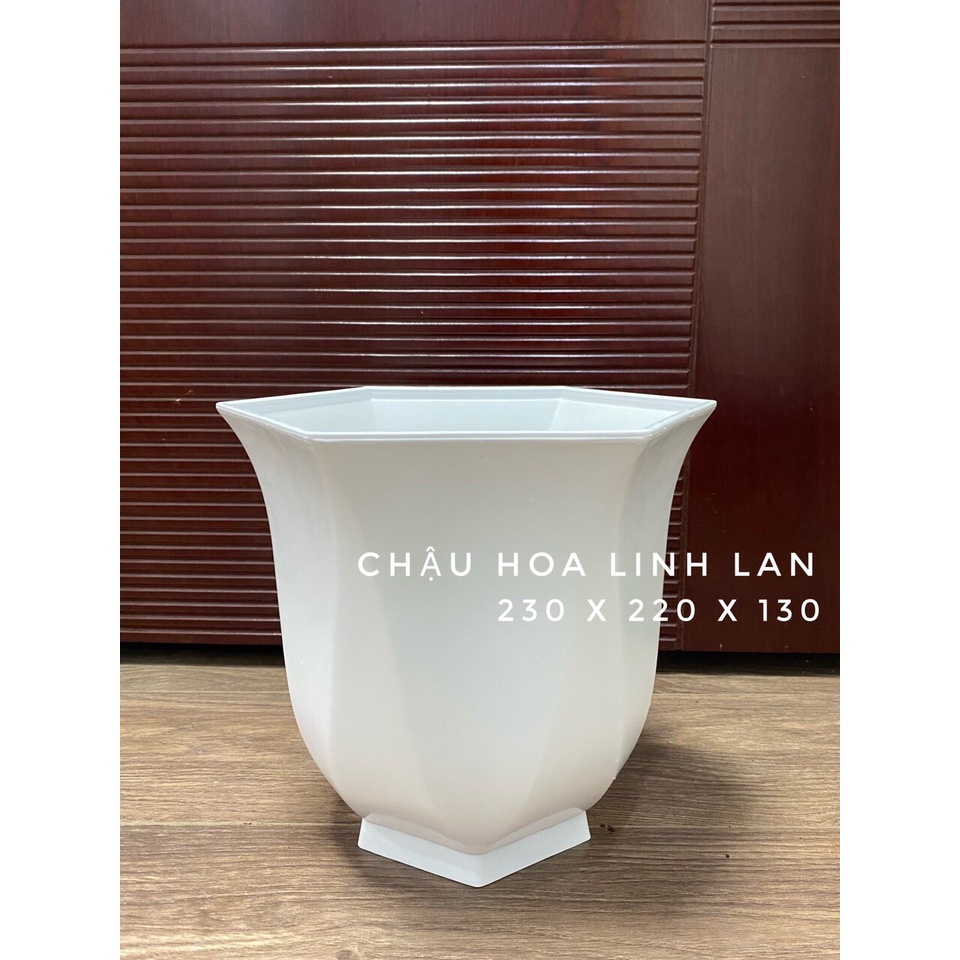 Chậu hoa Linh Lan Cao Cấp (23 x 22 x 13 cm)
