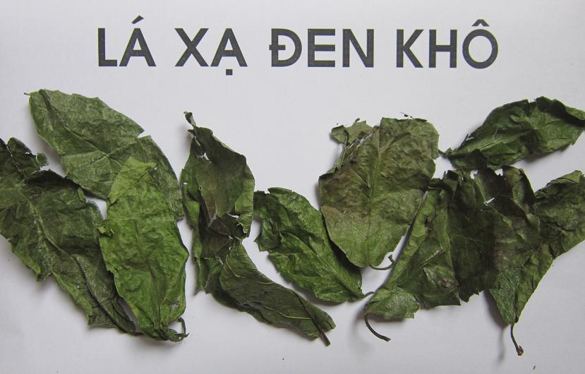 [Hàng mới về] Cây xạ đen khô tấn phát loại 1kg - Trà ngon bổ dưỡng hỗ trợ thanh nhiệt và giải độc