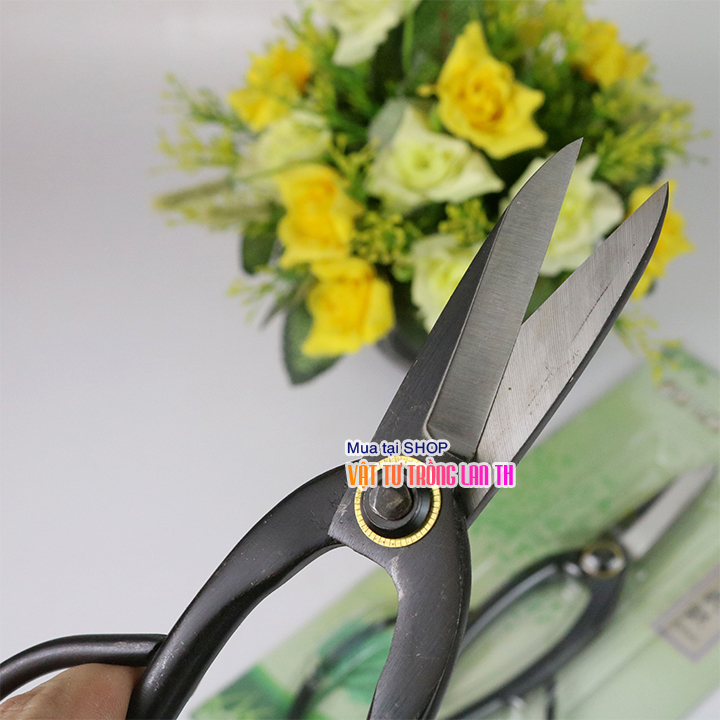 Kéo tỉa dăm bonsai thép đen cao cấp