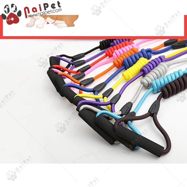 Dây Dắt Kèm Vòng Cổ Cho Chó Mèo ZiChen DDVC017