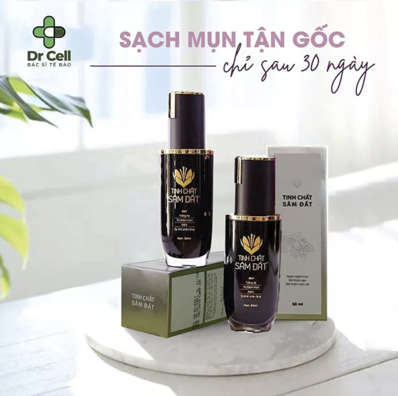 Tinh chất sâm đất tái tạo da triệt tiêu tất cả các loại mụn.