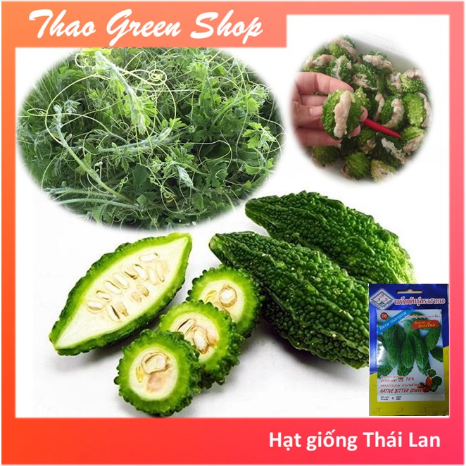 Hạt giống khổ qua rừng