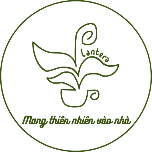 Phân Bò Xử Lý Lavamix 3Dm3 - Phân Hữu Cơ - Phân Dạng Bột - Phân Bò