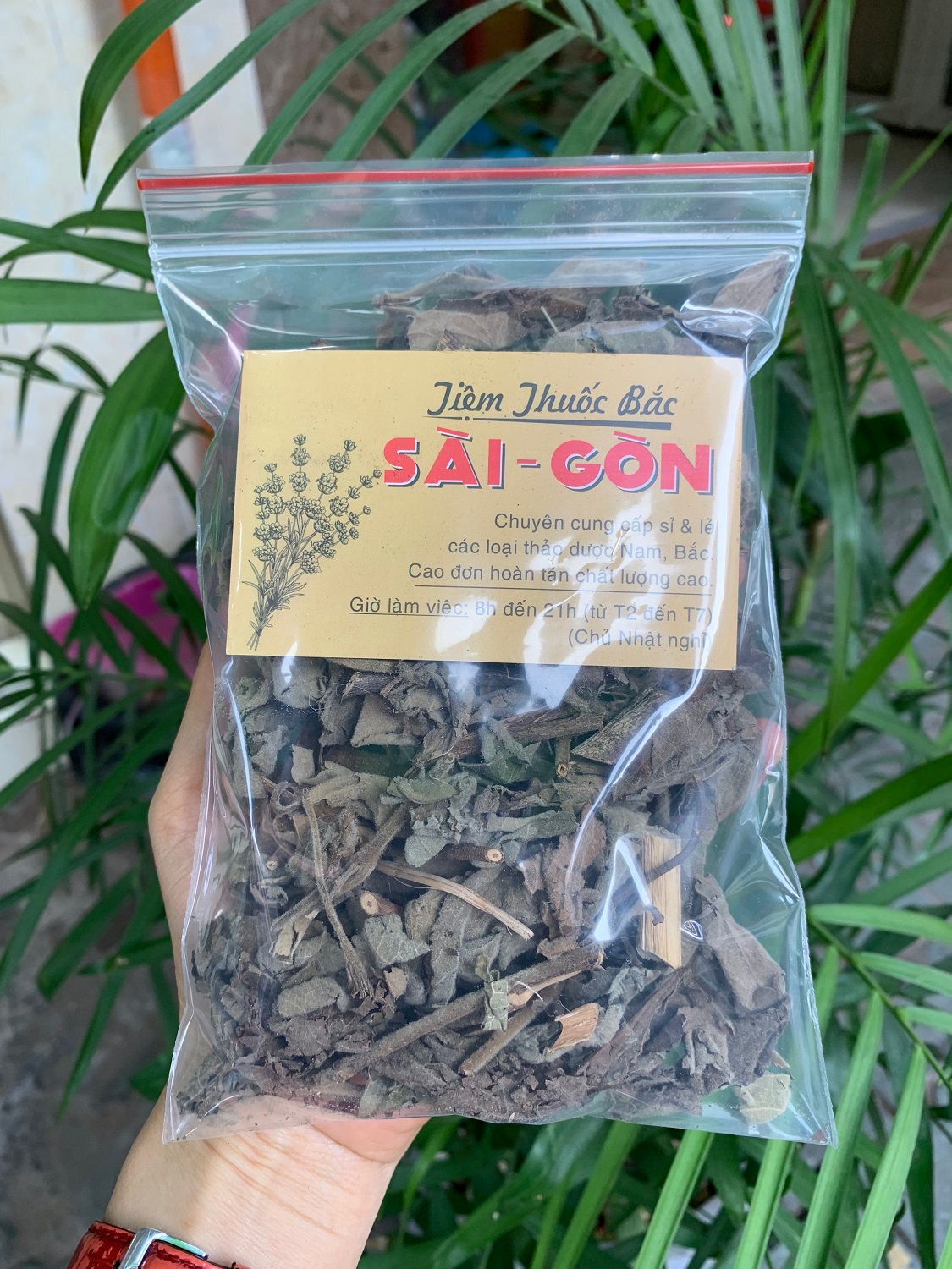 [HCM]CÂY AN XOA 500GRAM Tiệm Thuốc Bắc Sài Gòn