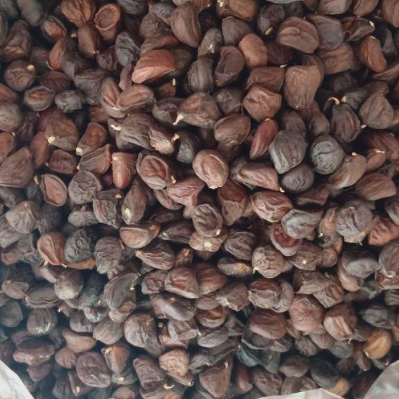 500g hạt dổi rừng