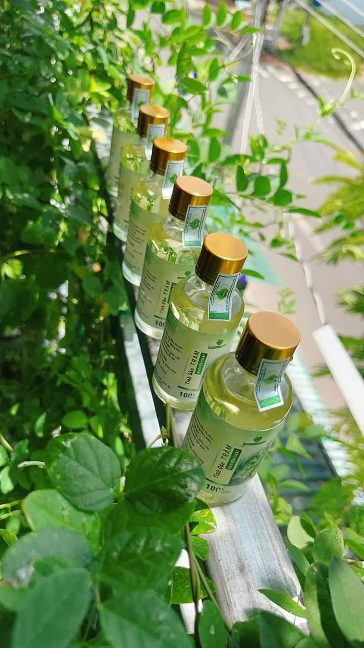 TINH DẦU TRÀM NGUYÊN CHẤT MẸ KEN (50ml)