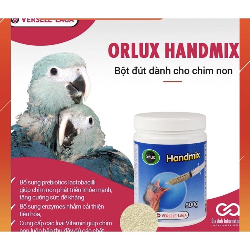 [HCM]Bột đút chim non Handmix Versele Laga gói 100g