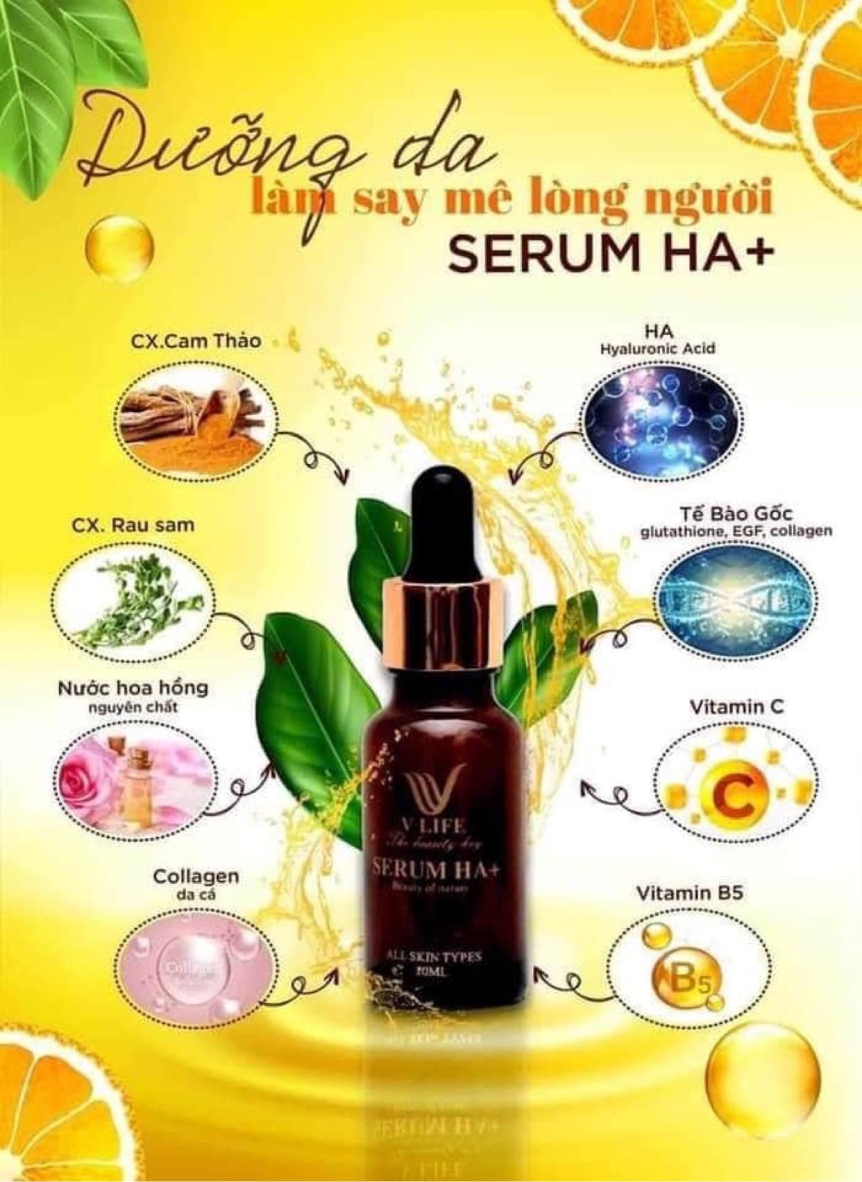 SERUM HA PLUS VLIFE .