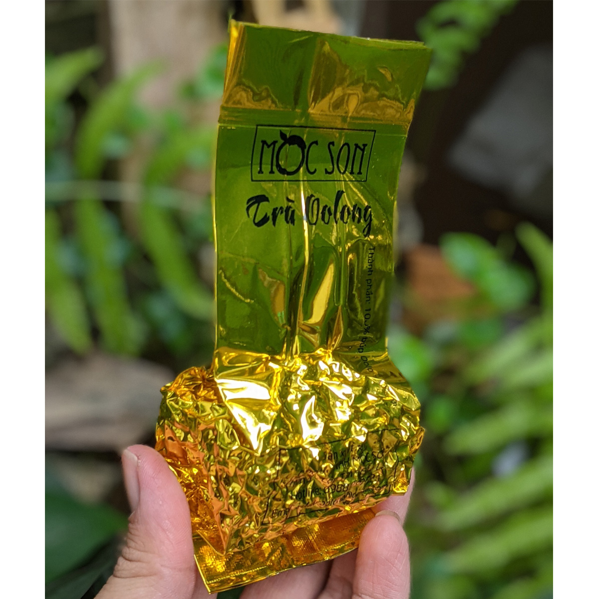 50g Vi Olong (Olong Đọt) Mộc Sơn