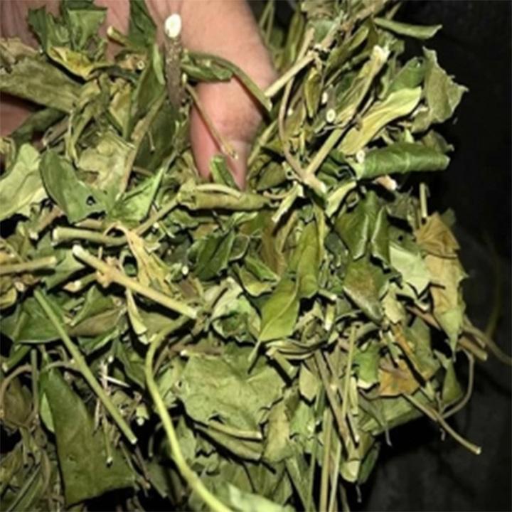 dây thìa canh khô 1kg