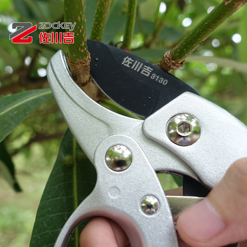 Kéo cắt cành lưỡi thép Carbon cao cấp