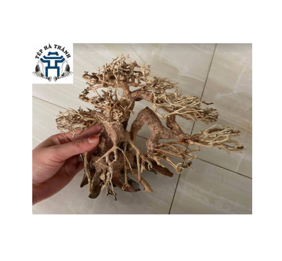 [Hoàn Tiền 10%] Lũa Bonsai Mini Trang Trí Bể Cá - Bể Thủy Sinh (D:20cm C: 15cm)
