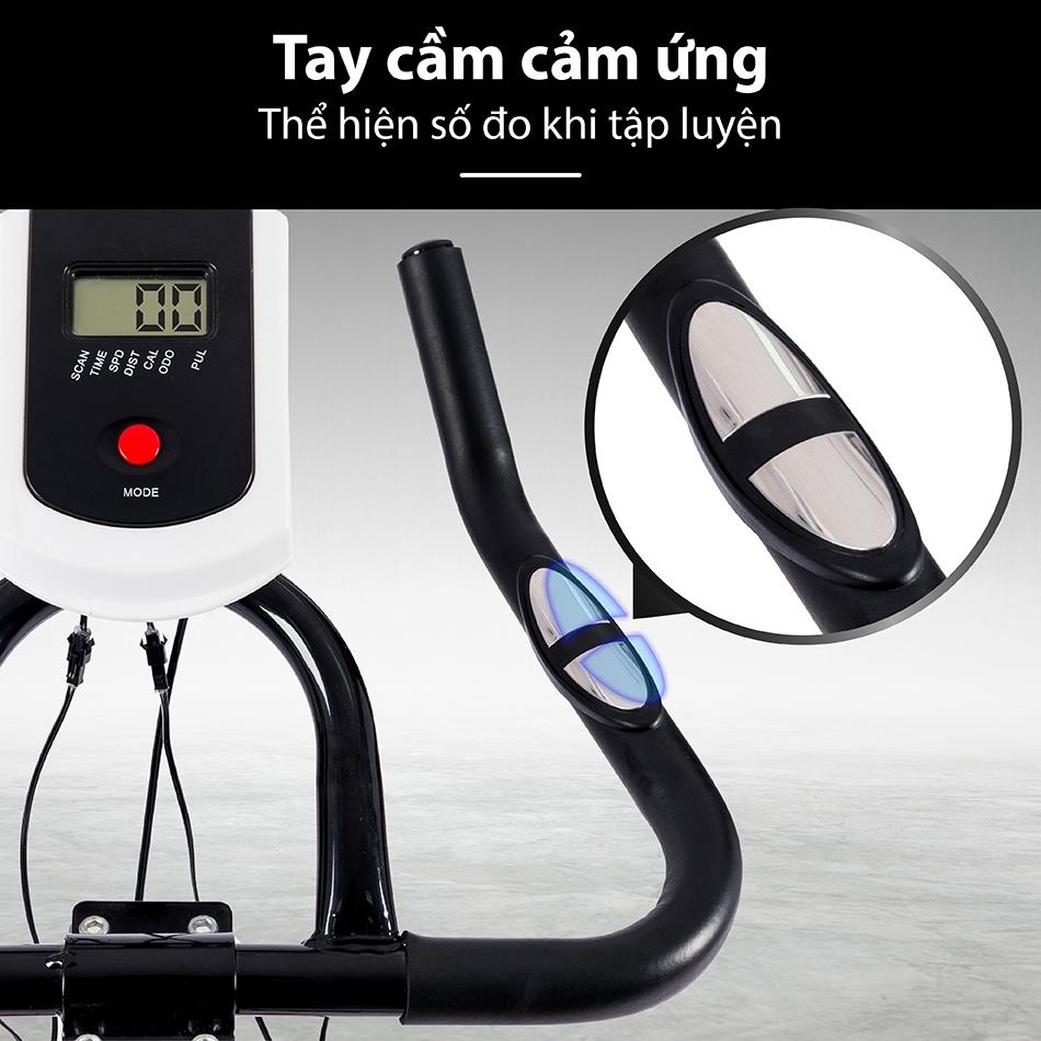 Xe đạp tập thể dục CY-S300