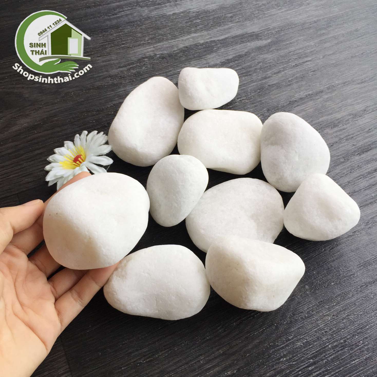 [HCM]1kg đá sỏi trắng viên lớn cỡ đại trang trí sân vườn bể cá chậu cây chặn giấy trên bàn