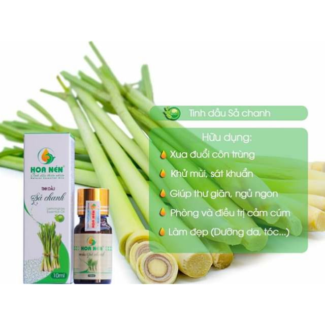 TINH DẦU SẢ CHANH NGUYÊN CHẤT 10 ML