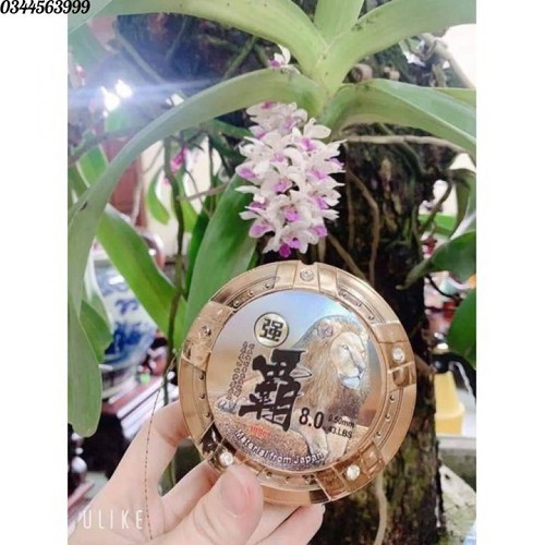 Cước câu cá tàng hình - DÀI 100m nhãn hiệu sư tử (cam kết đổi trả trong 2 tuần đầu)