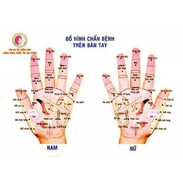 Dụng cụ diện chẩn - Thanh Lăn Đồng Lõm diện chẩn