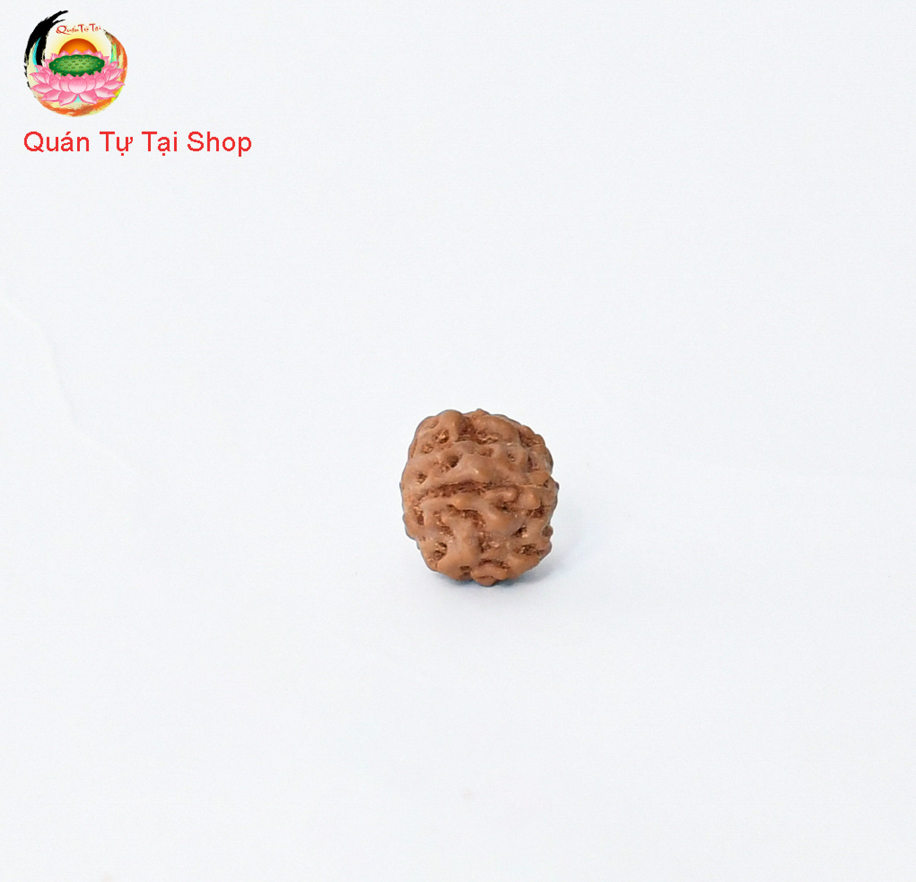 Chuỗi hạt bồ đề kim cang - Hạt 8mm, bán lẻ từng hạt ( bomco 10 hạt/ 1 lần mua)