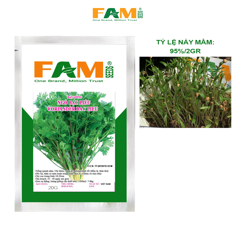 Gói 20gr Hạt Giống Ngò Bạc Liêu (Mùi Ta - Ngò Rí) - Nảy mầm siêu khỏe siêu nhanh >94%, Phát triển nhanh, Thu hoạch nhiều đợt, Năng suất cao, Mùi thơm đặc trưng, Sử dụng được cho nhiều món