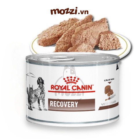Pate cho chó mèo Phục hồi sức khỏe Recovery Royal Canin Lon 195gr