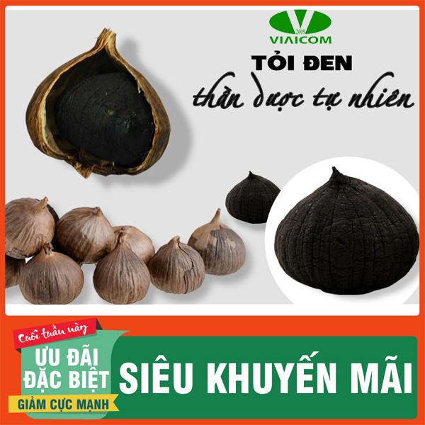 [ 2021] Tỏi đen cô đơn VIAICOM túi 100g