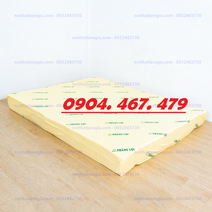 NỆM CAO SU NON THẮNG LỢI 10PHAN - NHIỀU KÍCH THƯỚC