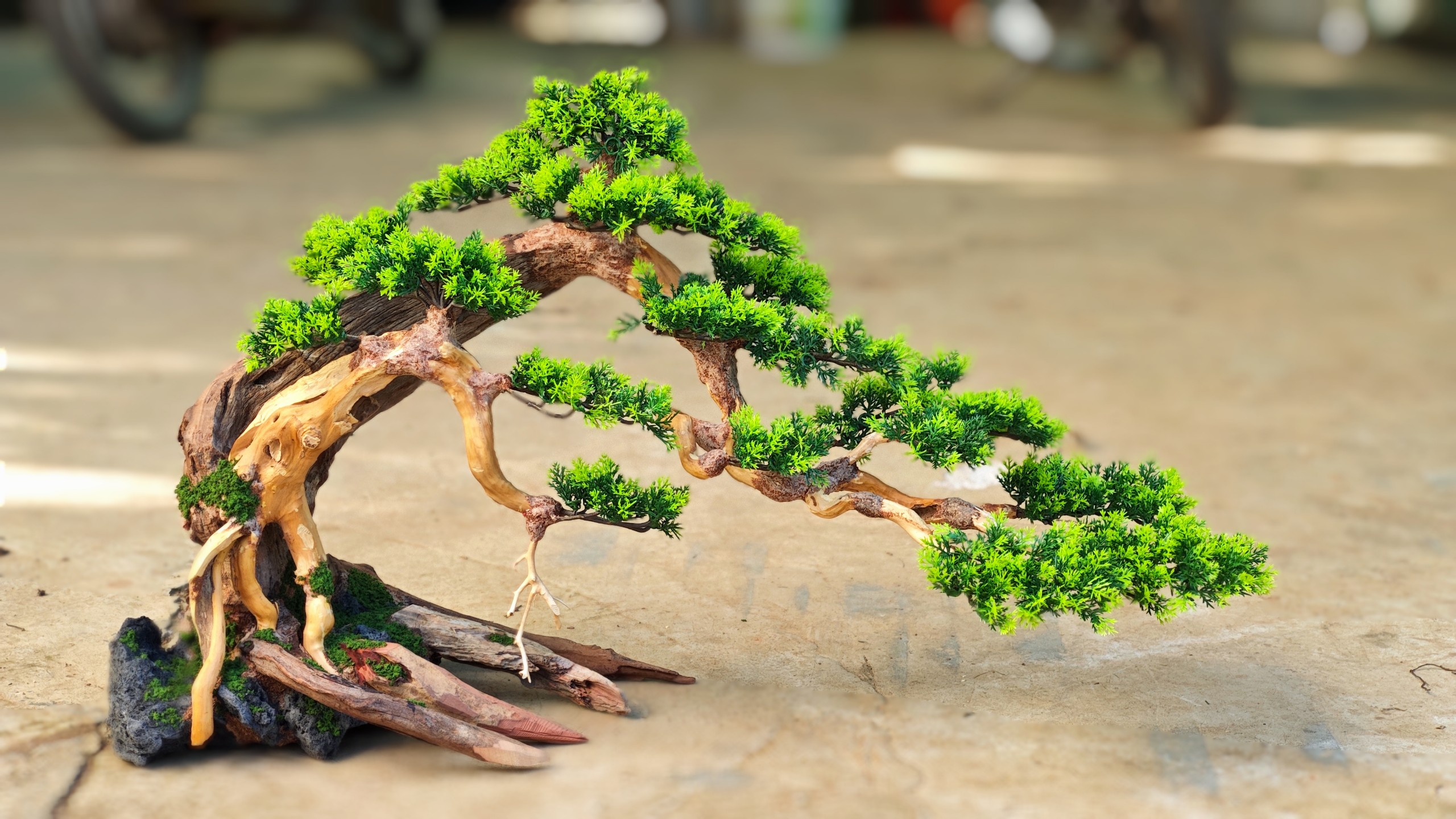 Lũa Bonsai Dáng Đổ Cho Hồ Thủy Sinh- Xưởng Mr Wood