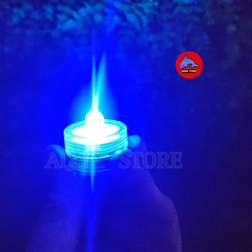 Đèn Led mini dùng Pin - đèn trang trí hồ cá tiểu cảnh